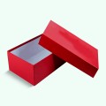 Custom FootWear & Shoe Boxes | EZCustomBoxes