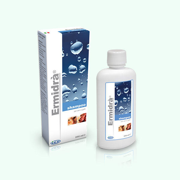 Design & Print Your Custom Shampoo Boxes | EZCustomBoxes