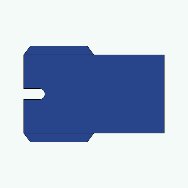 Economy Disc Folder Packaging