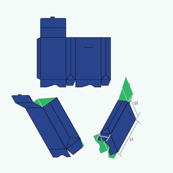 Packaging with Gable Bag