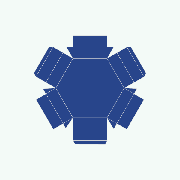 Hexagon Two Piece boxes