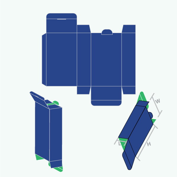 Packaging with Reverse Tuck End With Lock
