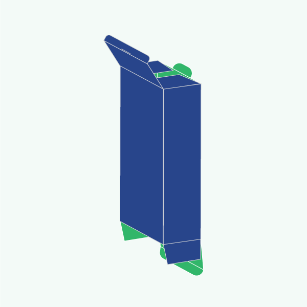 Reverse Tuck End With Lock