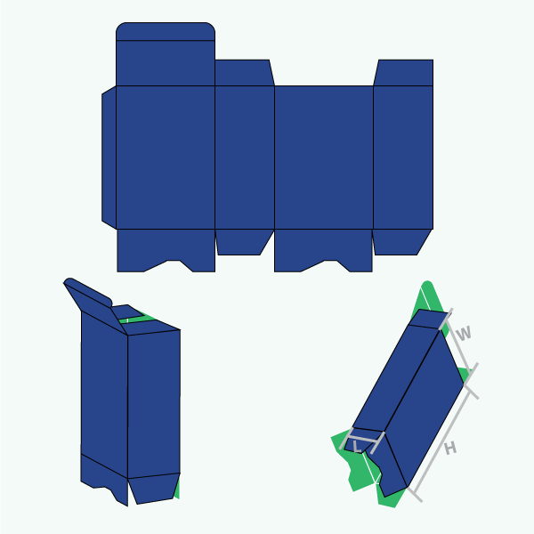 Packaging with Tuck End Auto Bottom