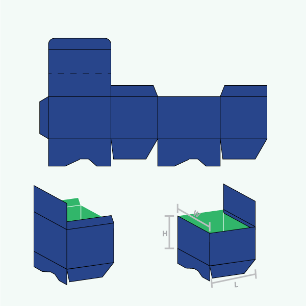 Packaging with Display Box Auto Bottom
