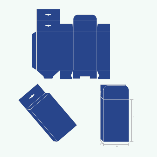 Packaging with Five Panel Hanger