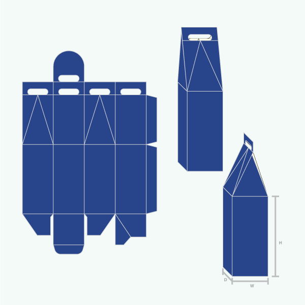 Packaging with Bottle Carrier