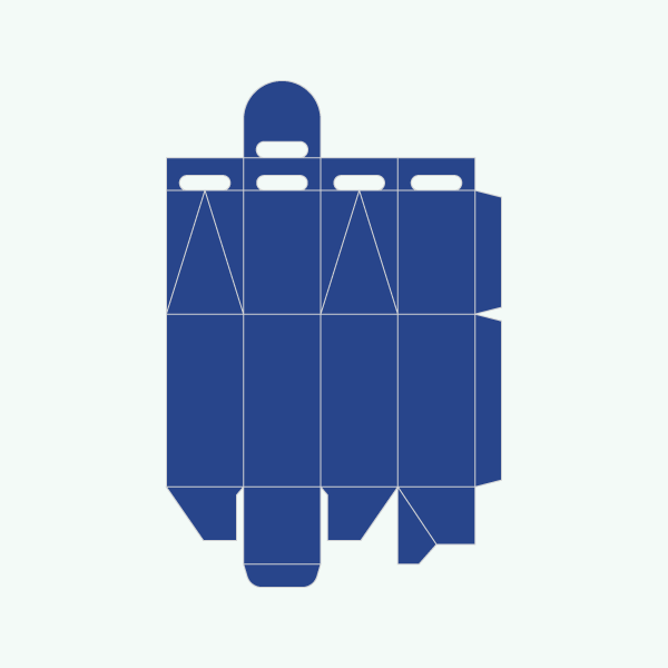 Bottle Carrier Packaging Boxes