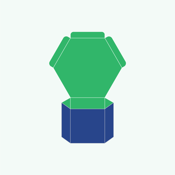 Cardboard Hexagon Boxes